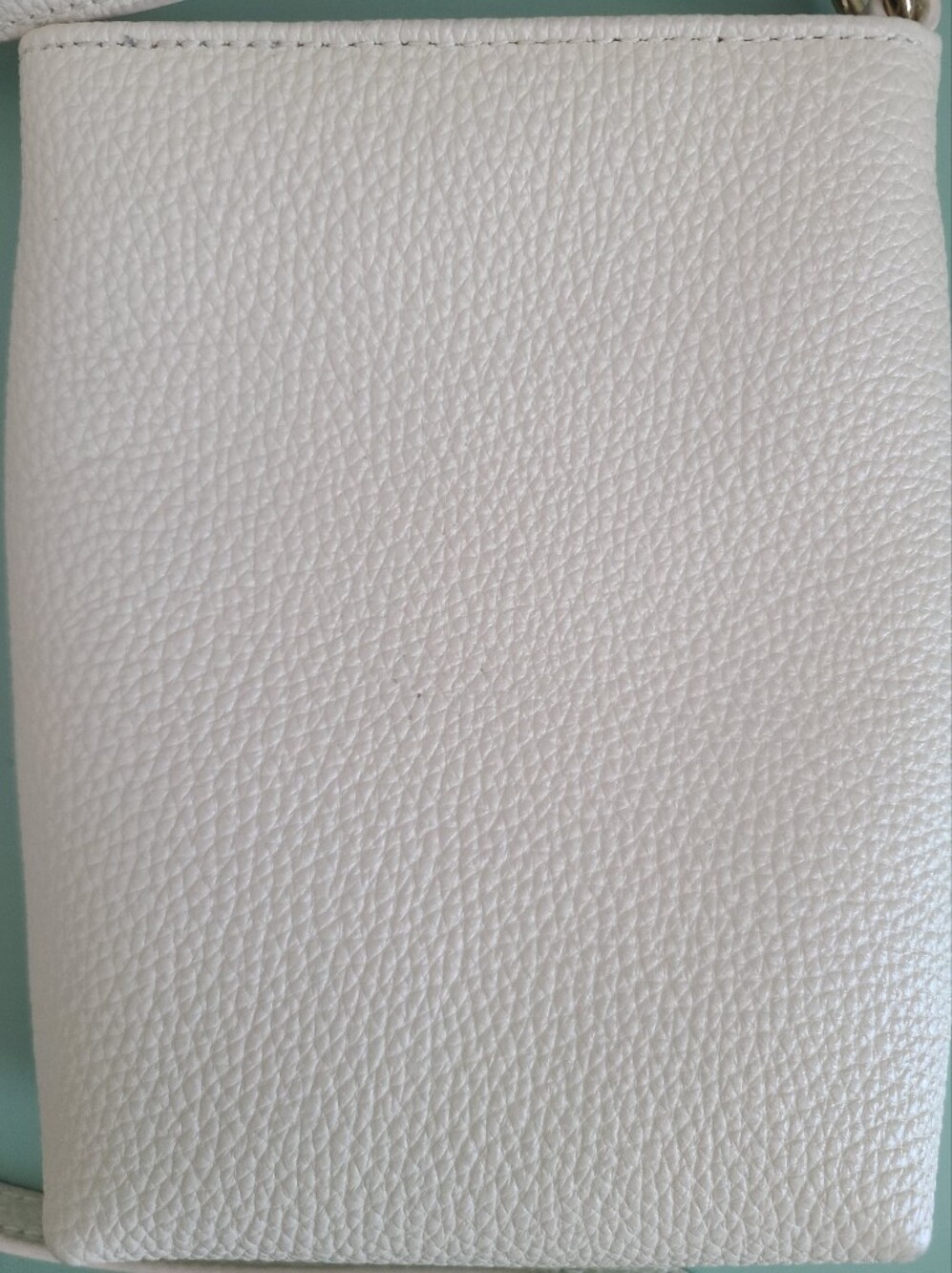 Quince Pebbled Leather Crossbody in Stone - Picture 8 of 10